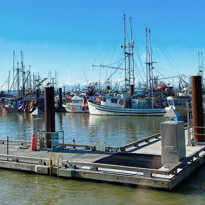 Daytripping Destination ~ the Village of Steveston