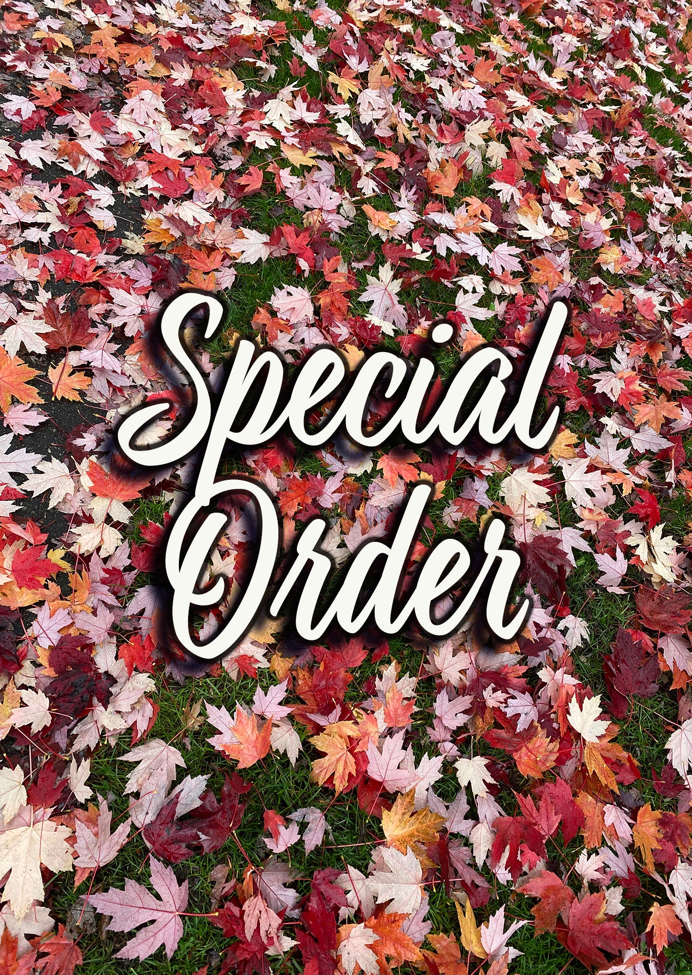 Special order - Paulette